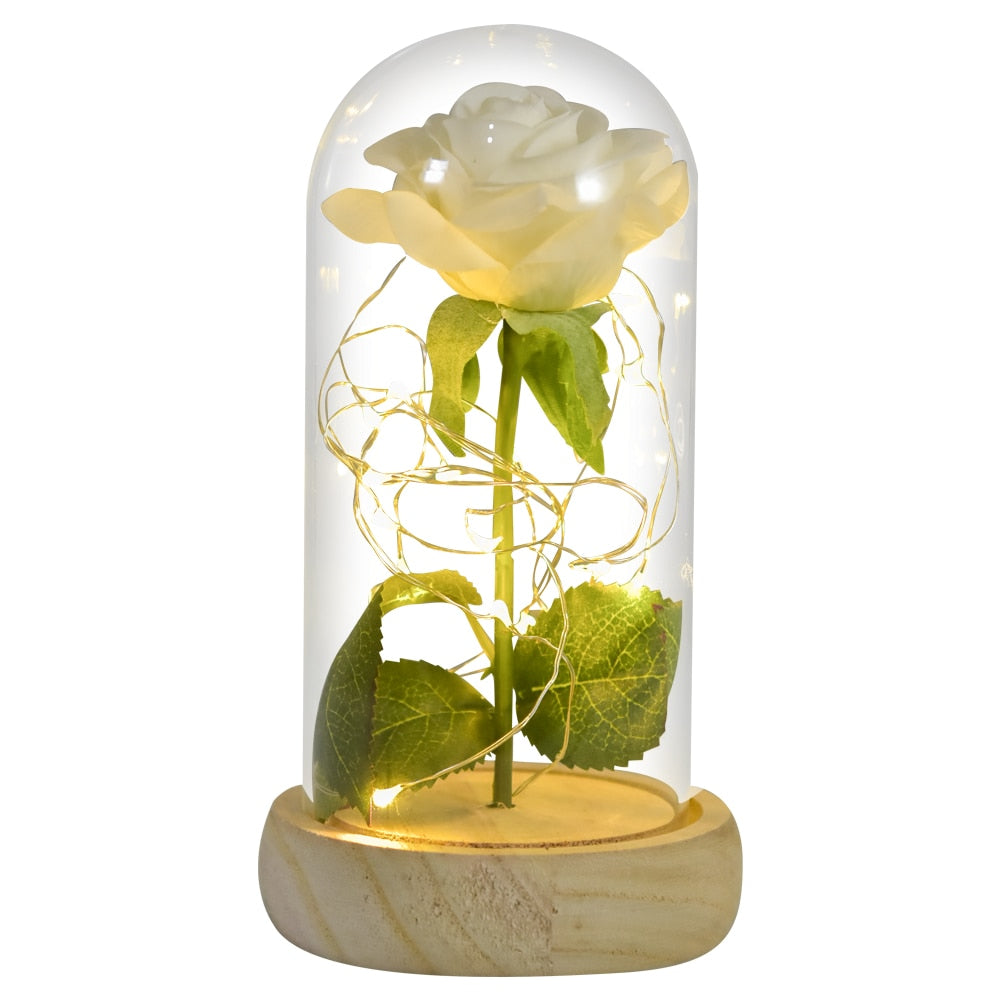 Beauty and The Beast Preserved Rose (5 varieties)