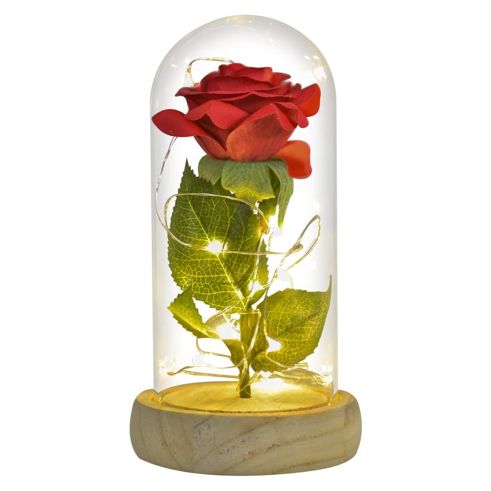 Beauty and The Beast Preserved Rose (5 varieties)